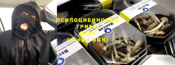 PSILOCYBIN Иннополис