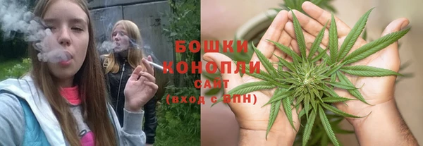 молекула духа Инта