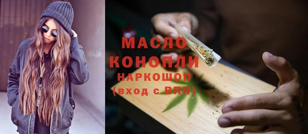 2c-b Инсар