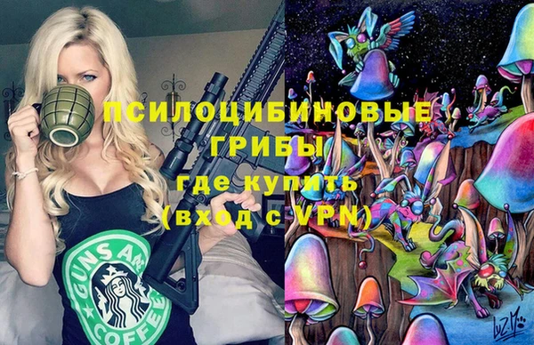 2c-b Инсар