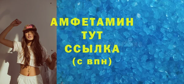 2c-b Инсар