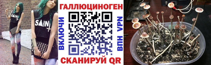 Галлюциногенные грибы мицелий  Купить  Горбатов 